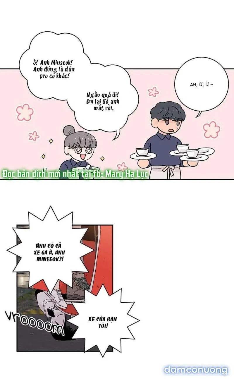Toy Complex 