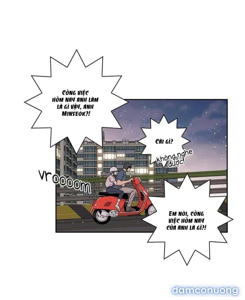 Toy Complex 