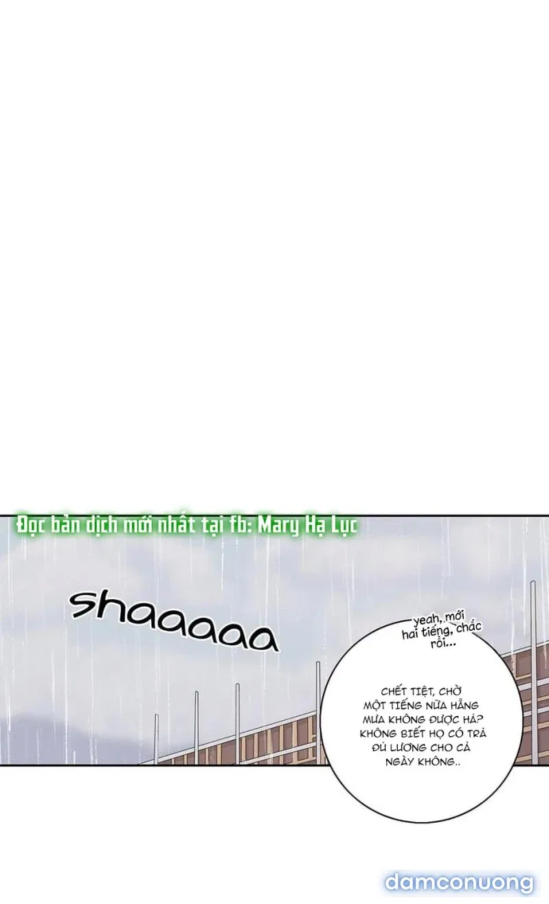 Toy Complex 