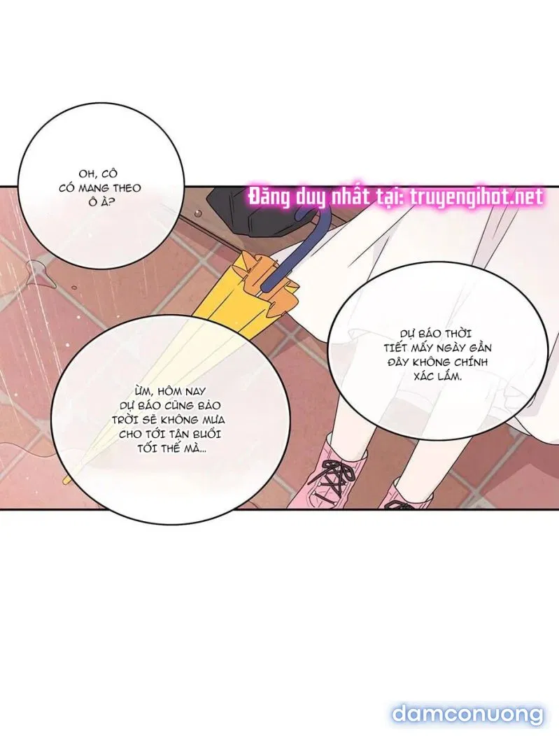 Toy Complex 