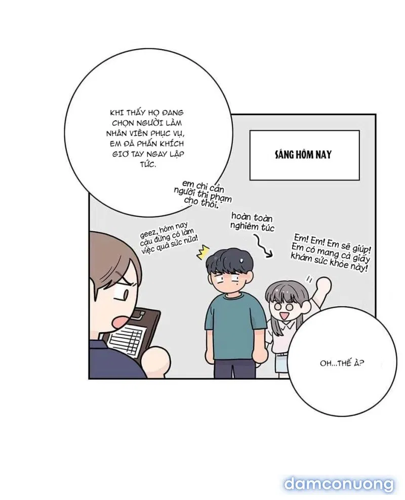 Toy Complex 