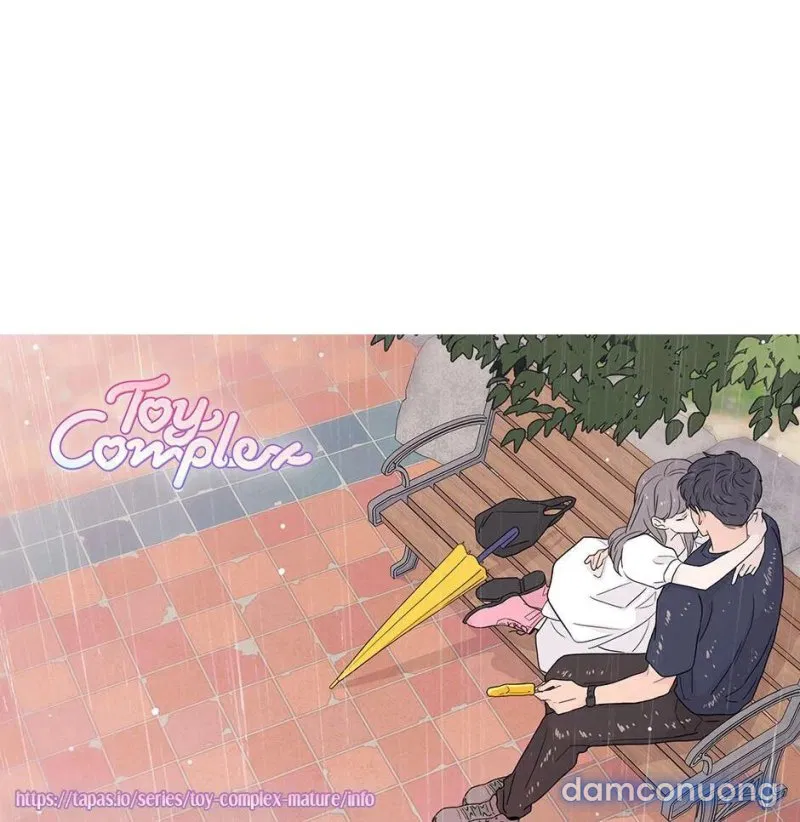 Toy Complex 