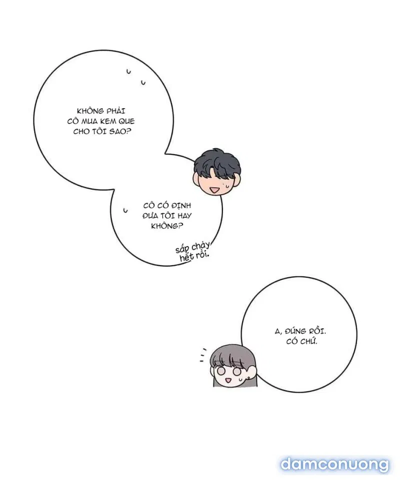 Toy Complex 
