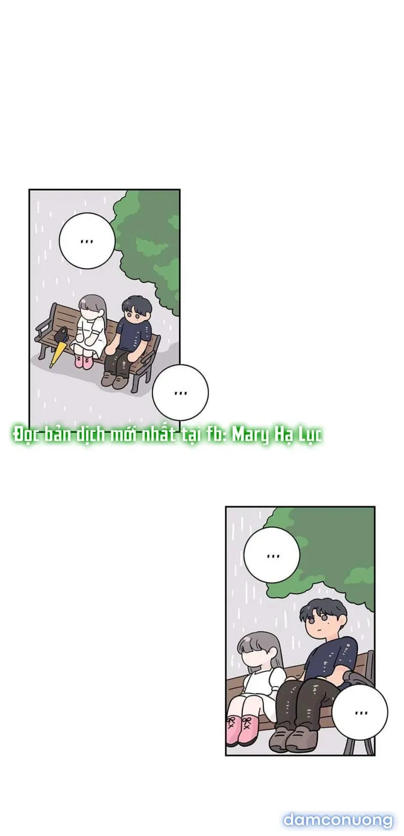 Toy Complex 