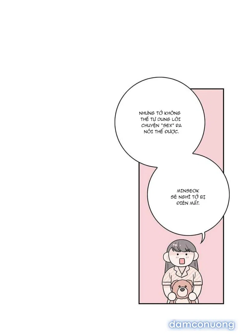 Toy Complex 