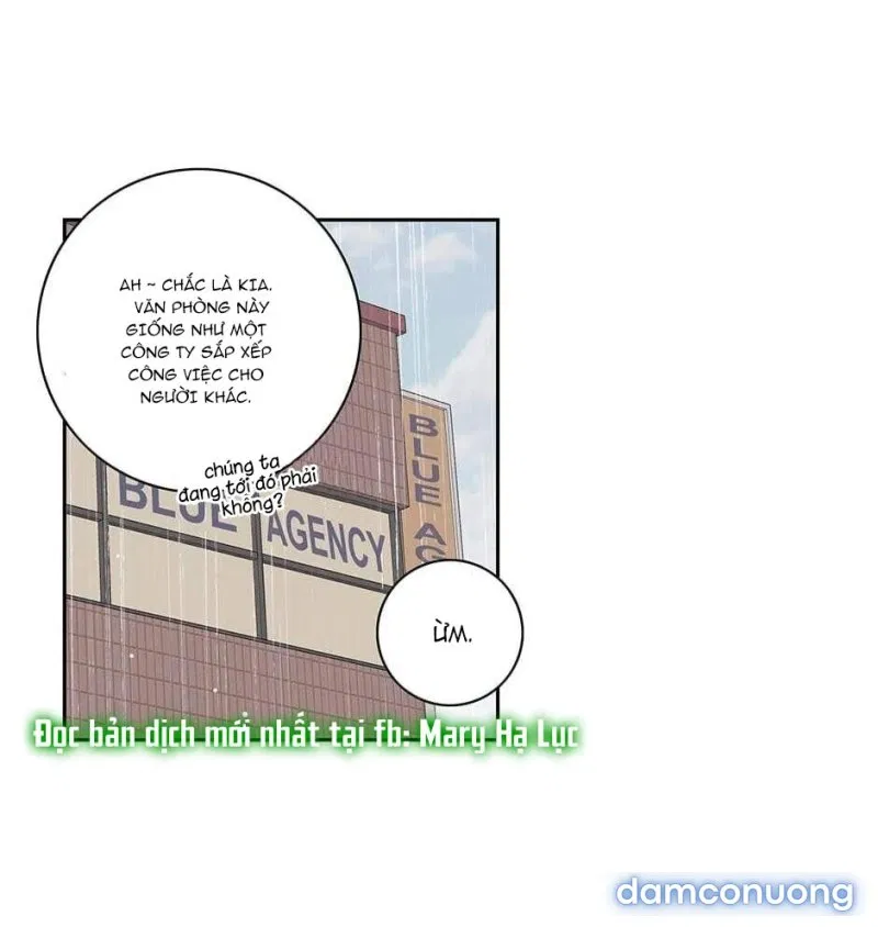 Toy Complex 