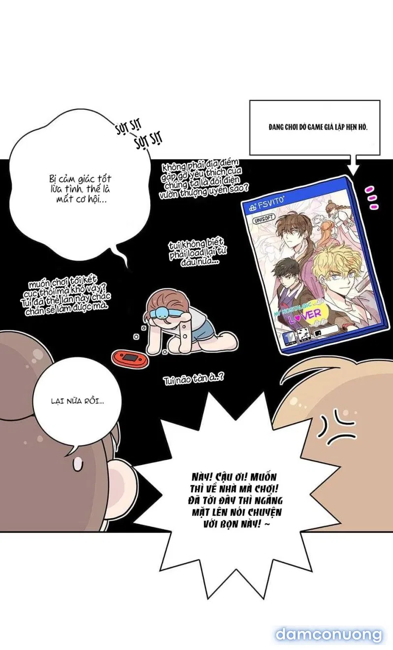 Toy Complex 