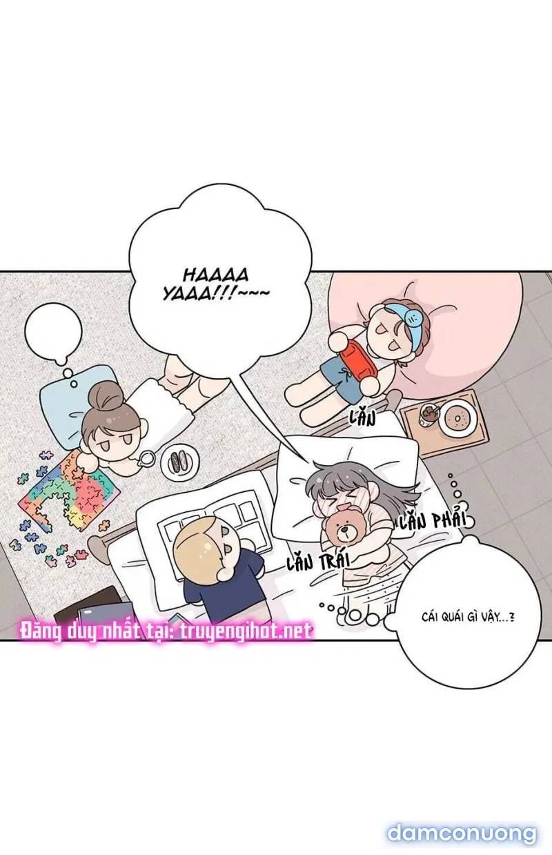 Toy Complex 