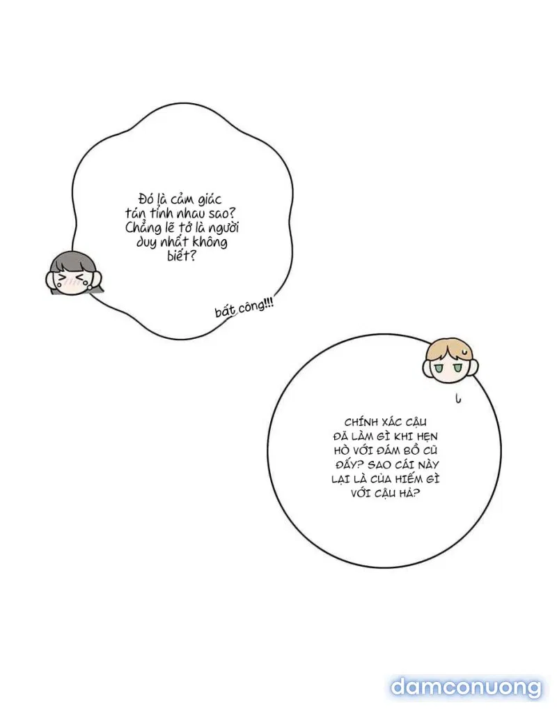 Toy Complex 