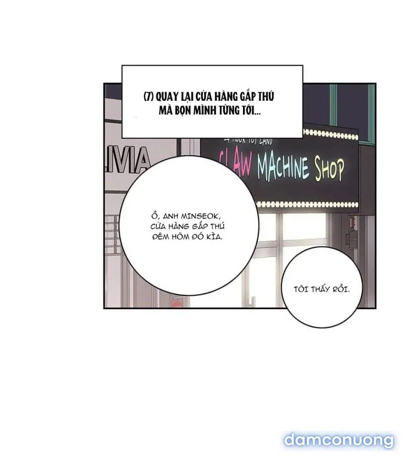 Toy Complex 