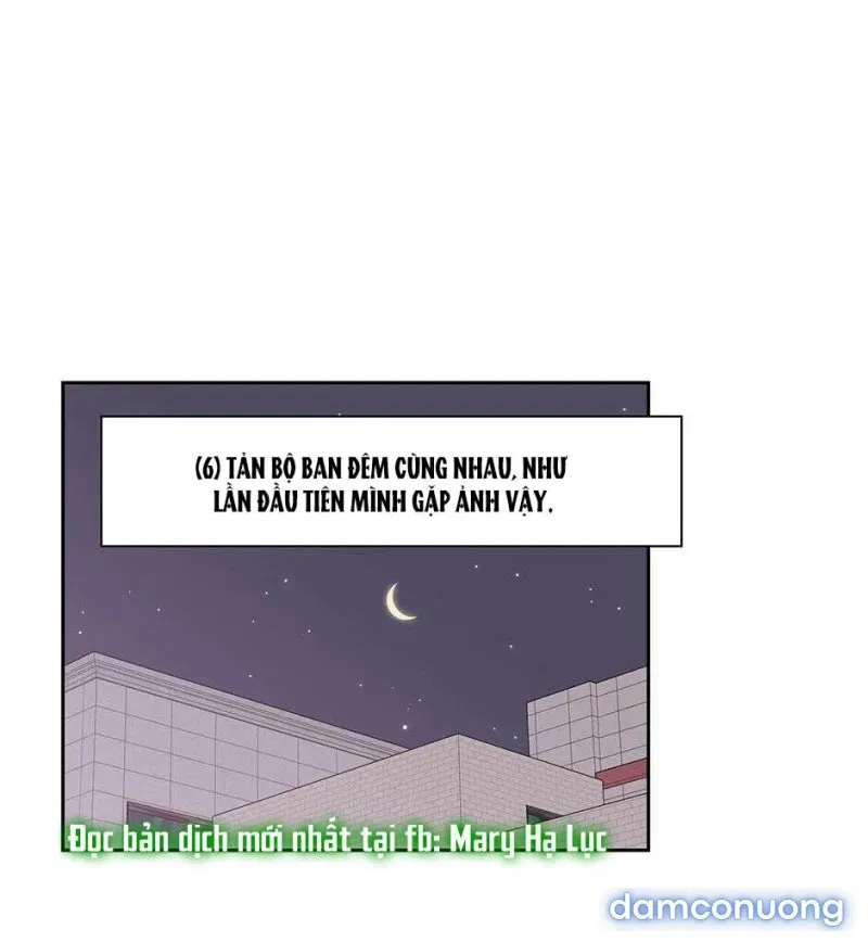 Toy Complex 