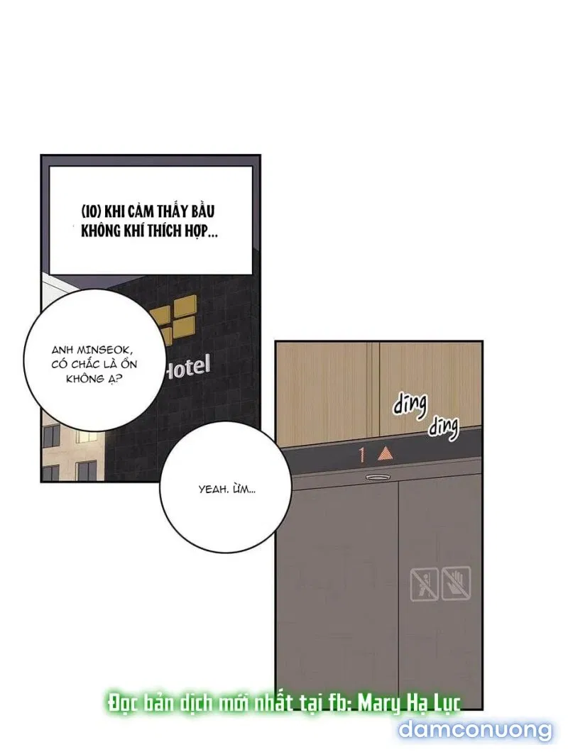 Toy Complex 