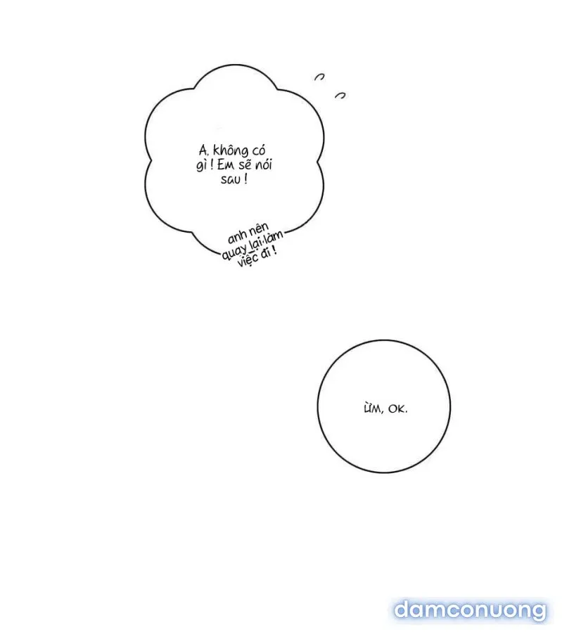 Toy Complex 