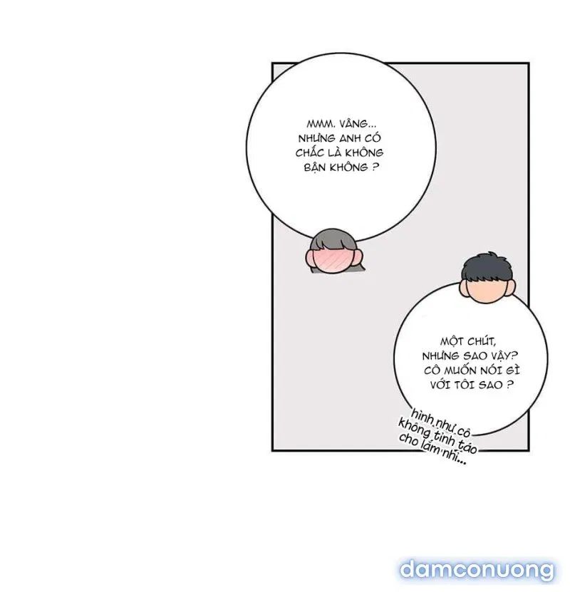 Toy Complex 