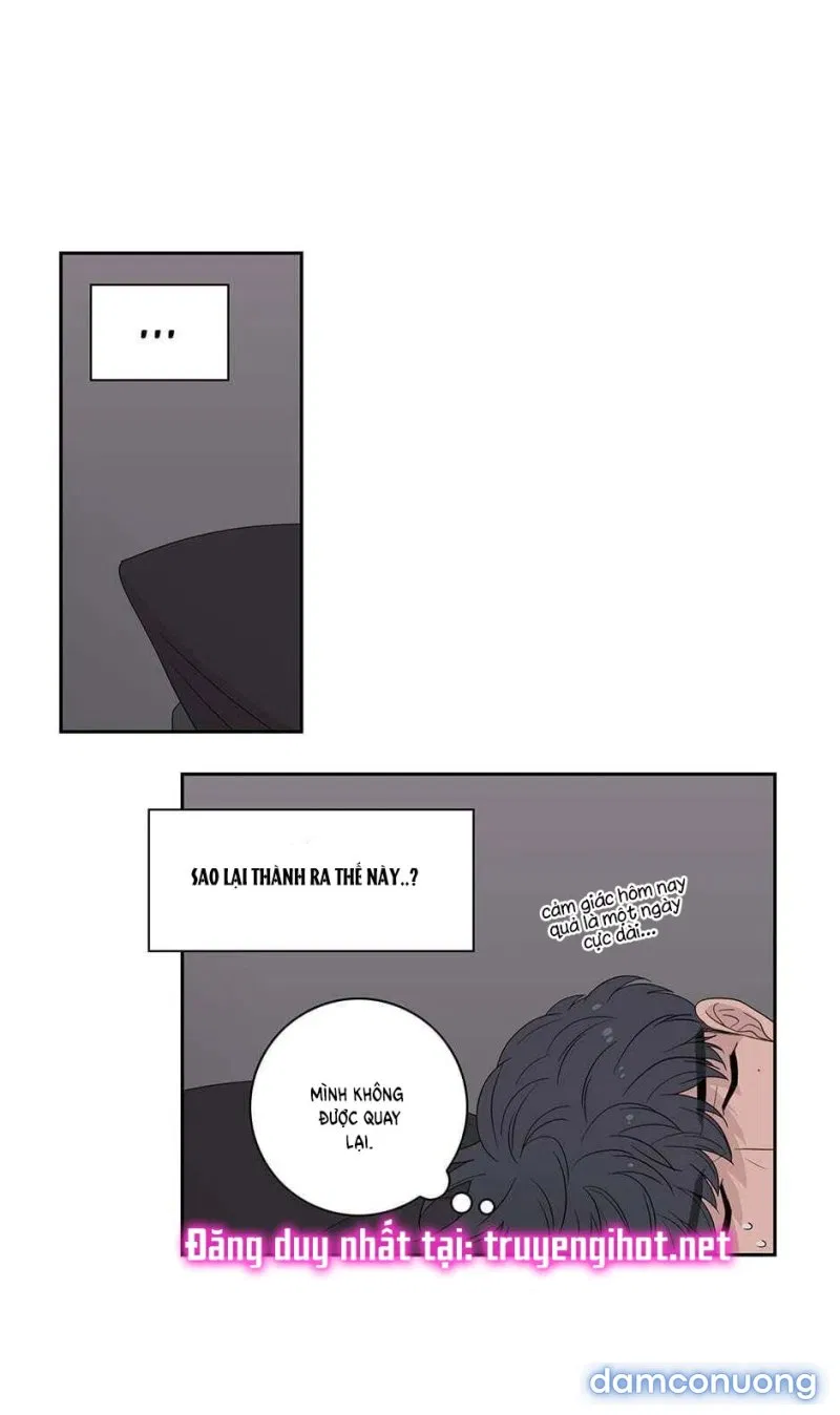 Toy Complex 