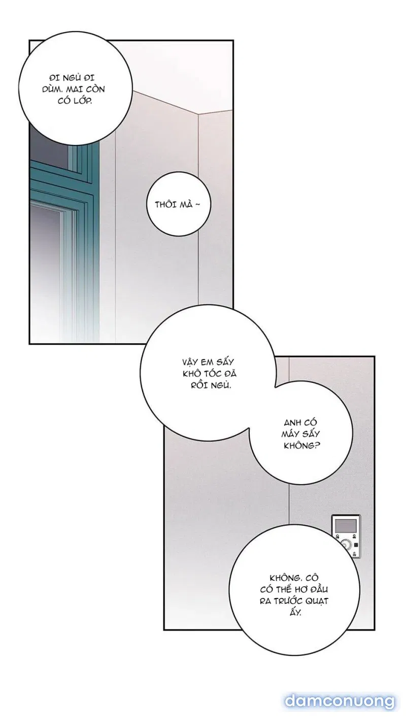 Toy Complex 