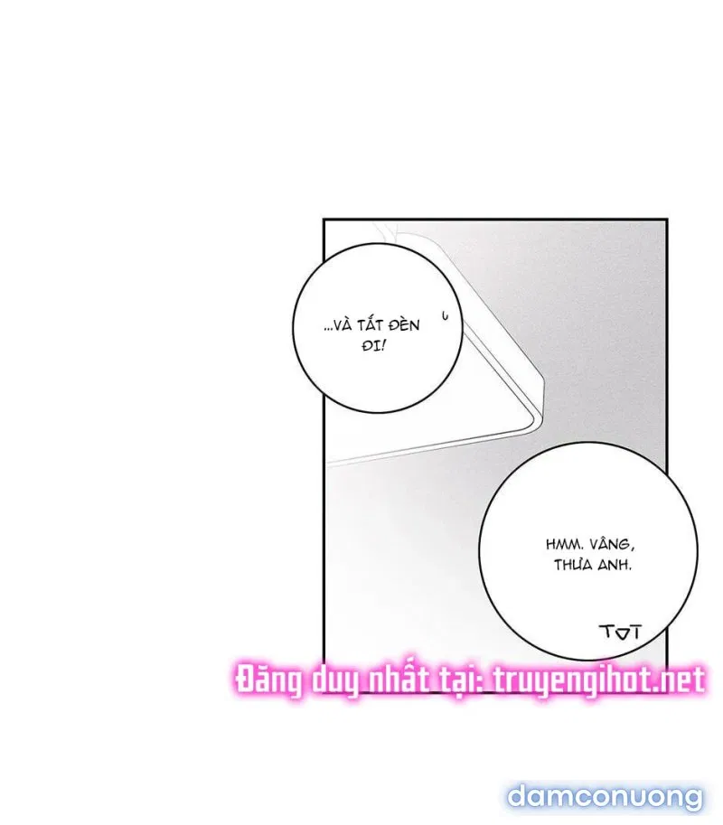 Toy Complex 