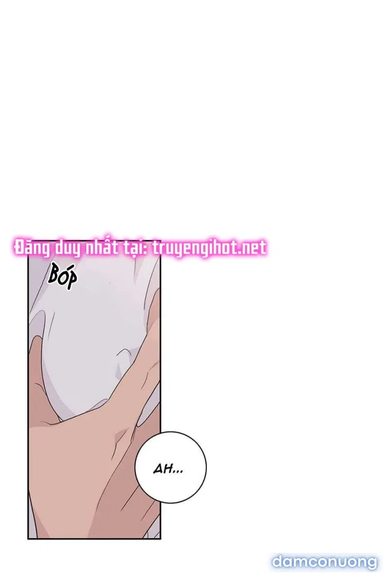 Toy Complex 