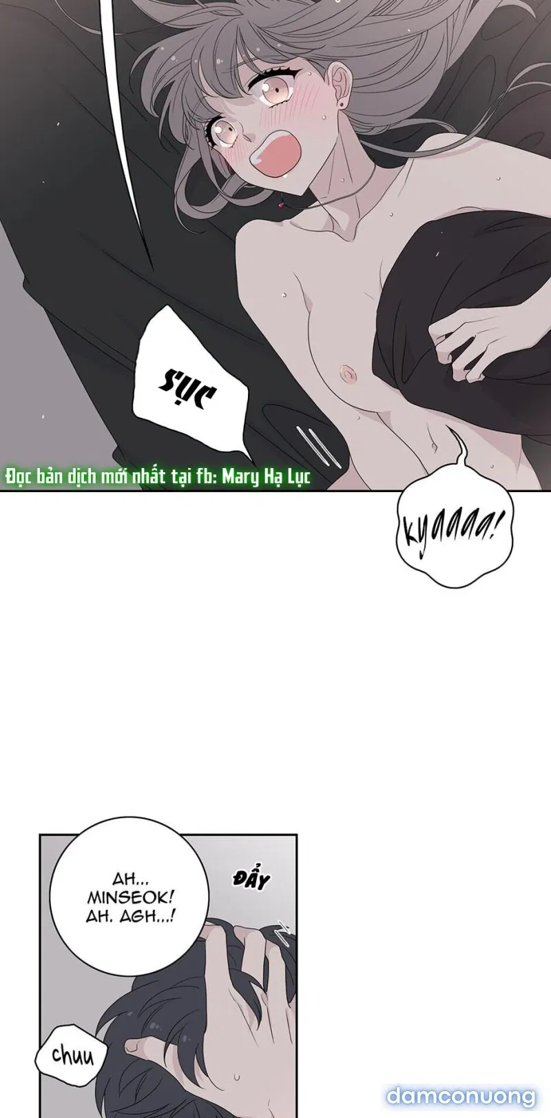 Toy Complex 