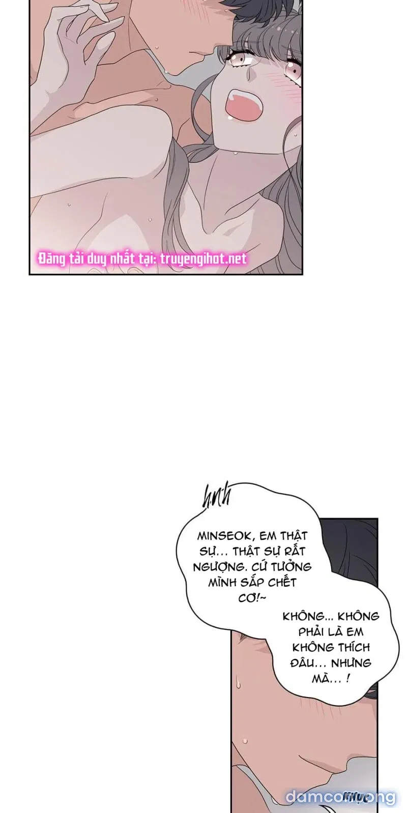 Toy Complex 