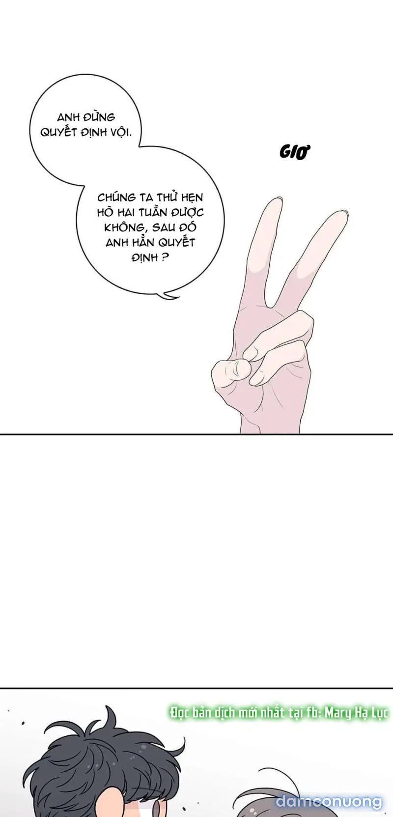 Toy Complex 