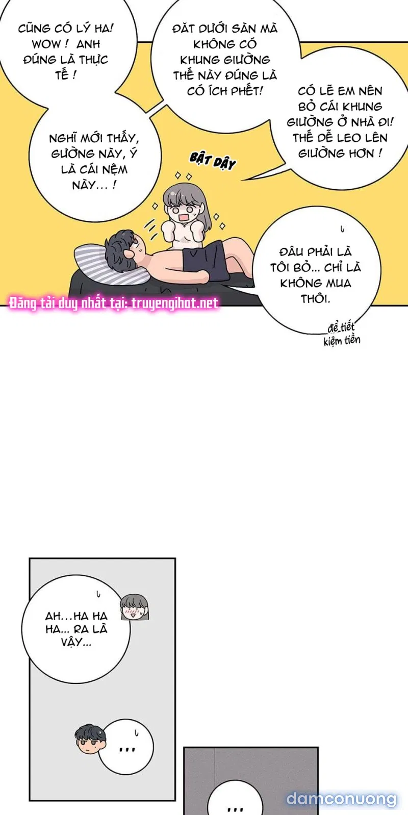 Toy Complex 