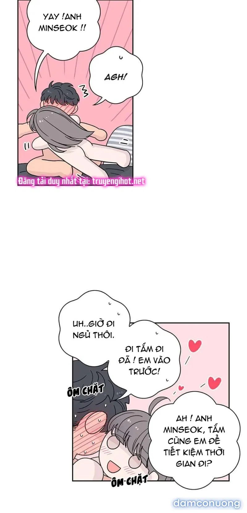 Toy Complex 