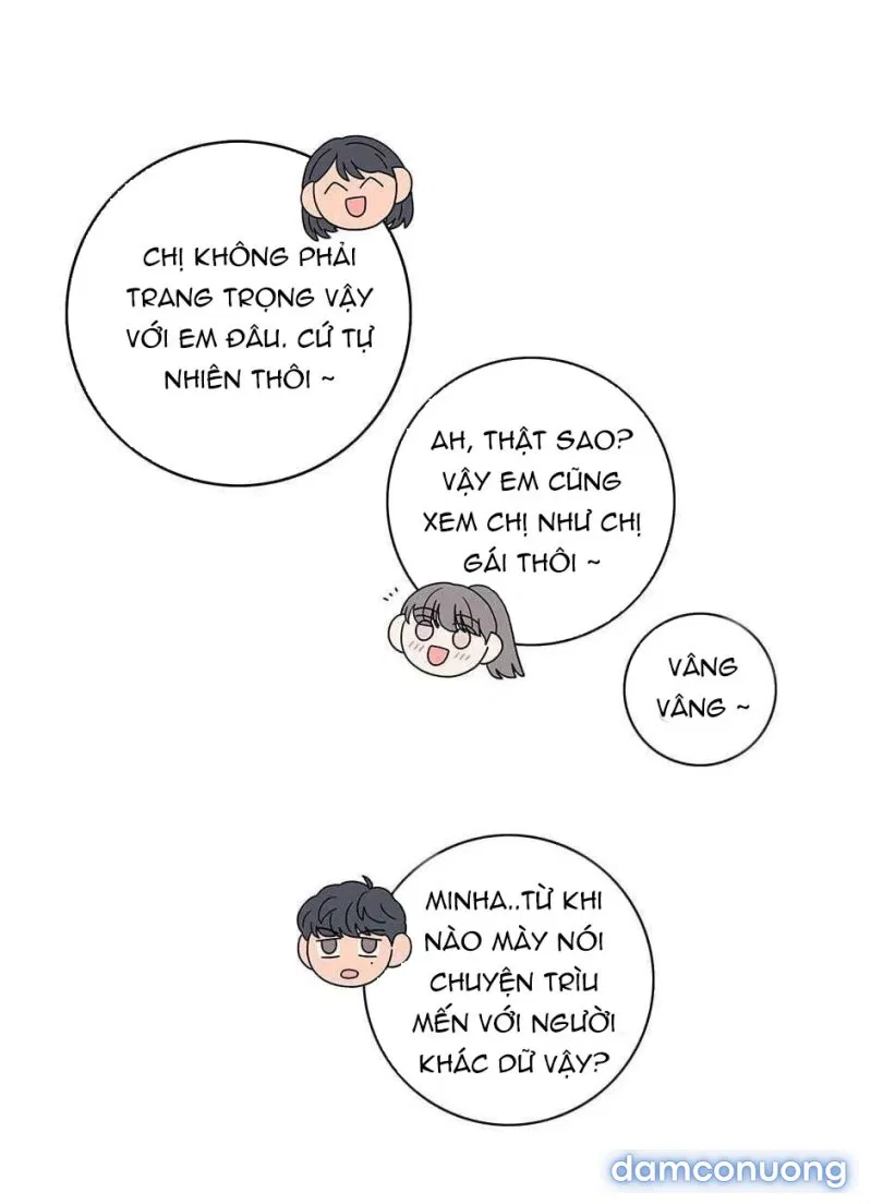 Toy Complex 
