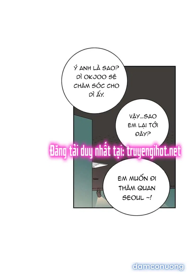Toy Complex 