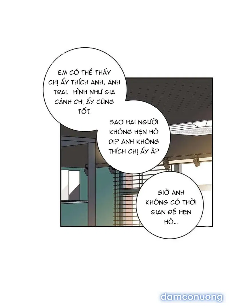 Toy Complex 