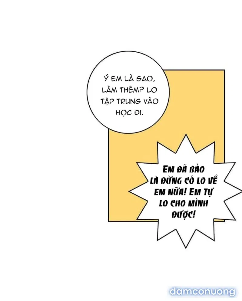 Toy Complex 