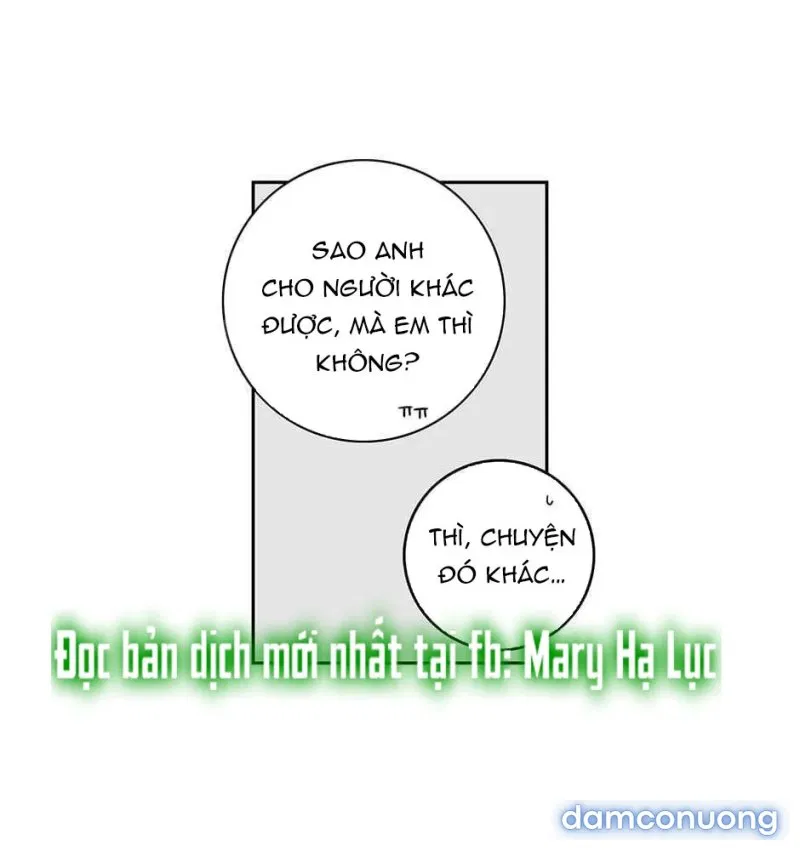 Toy Complex 