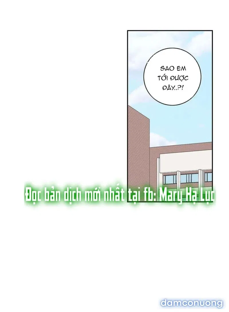 Toy Complex 