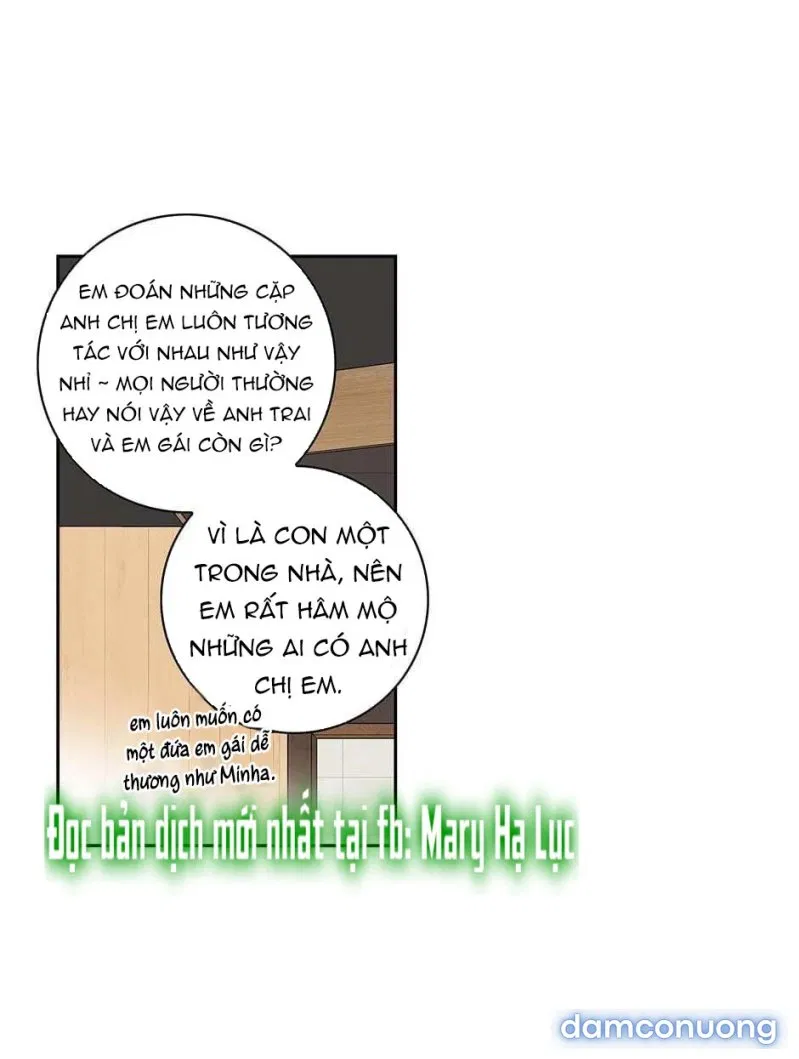Toy Complex 