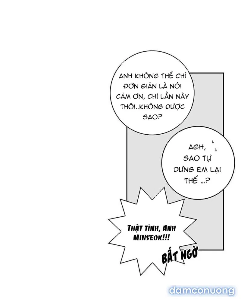 Toy Complex 