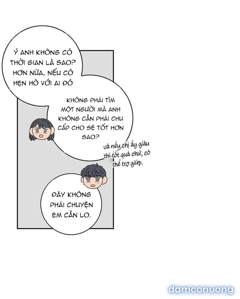 Toy Complex 
