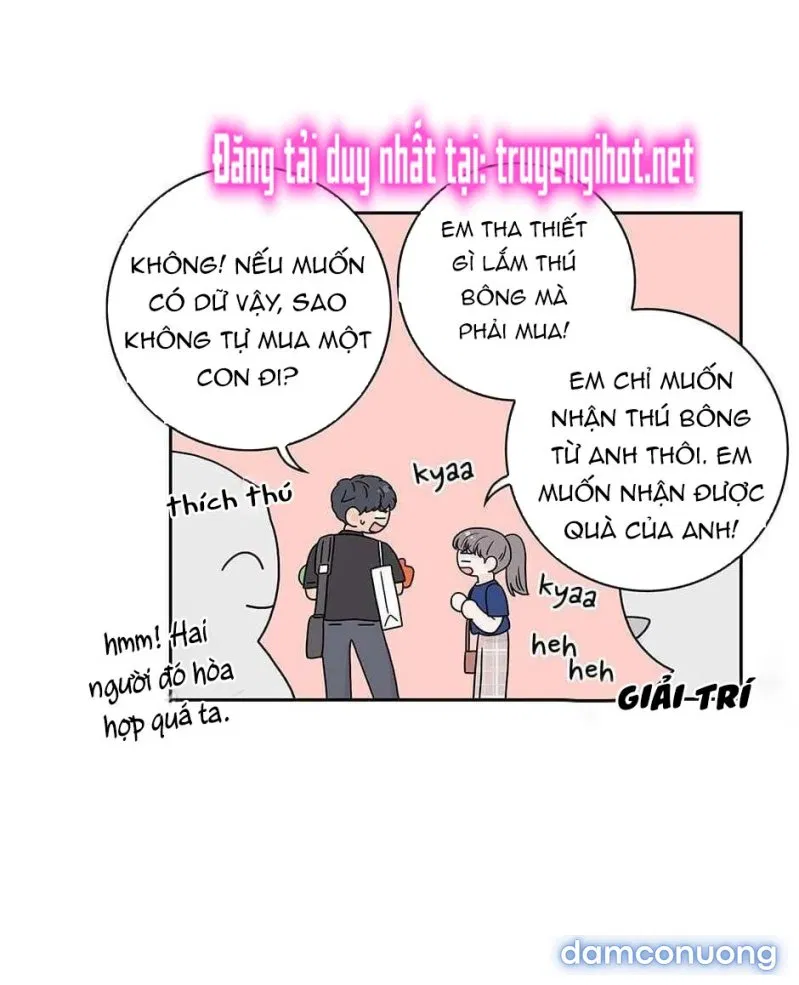 Toy Complex 