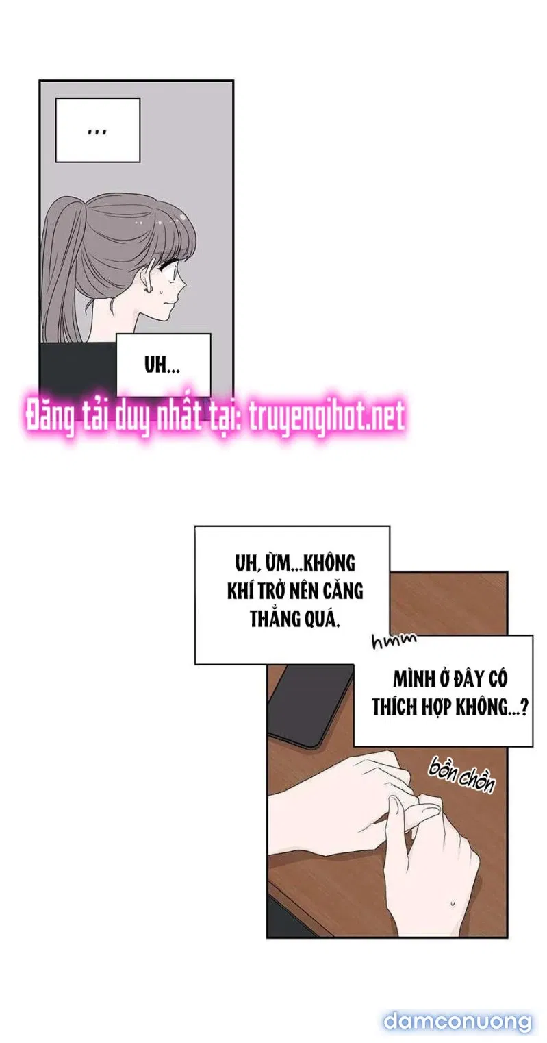 Toy Complex 