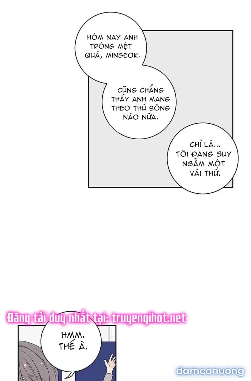 Toy Complex 