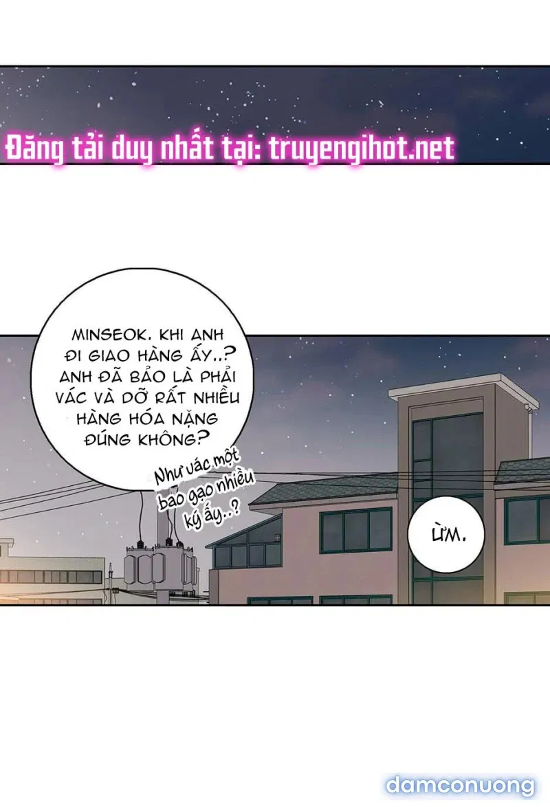 Toy Complex 