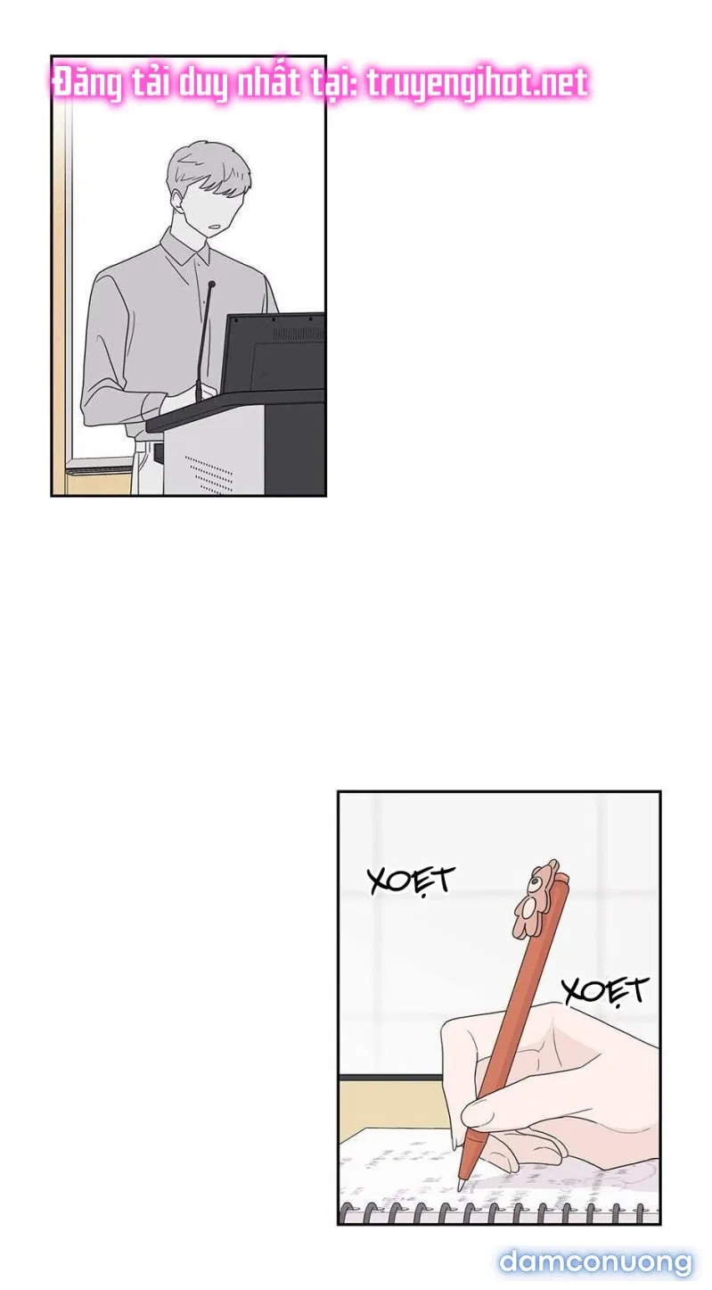 Toy Complex 