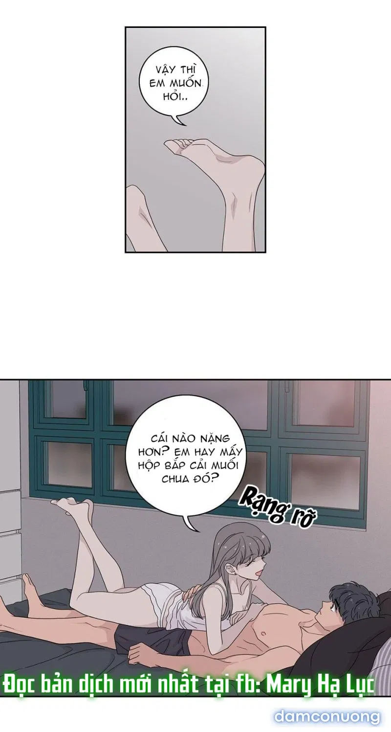 Toy Complex 