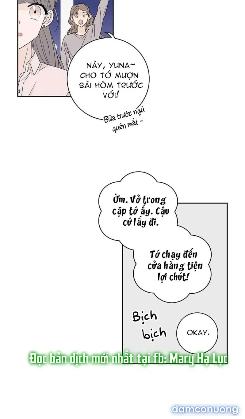 Toy Complex 