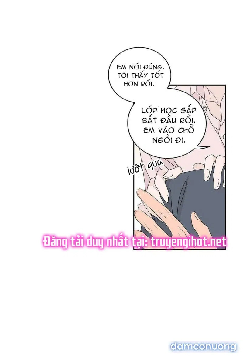 Toy Complex 
