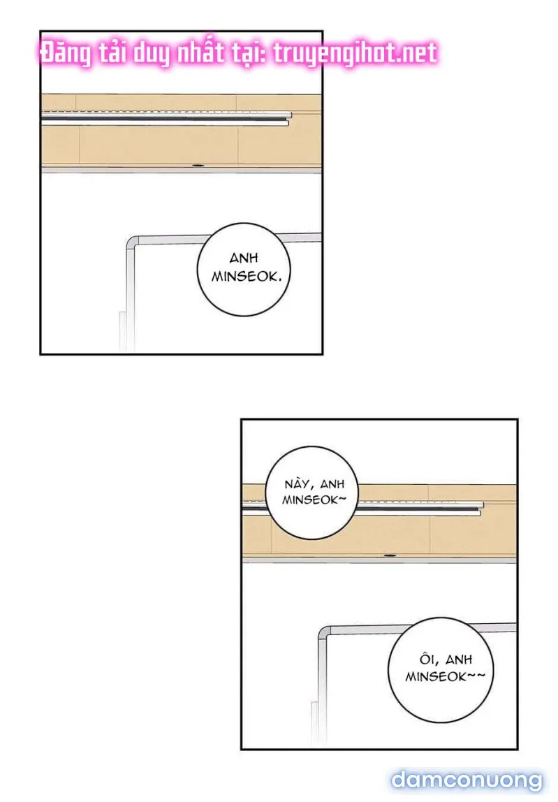 Toy Complex 