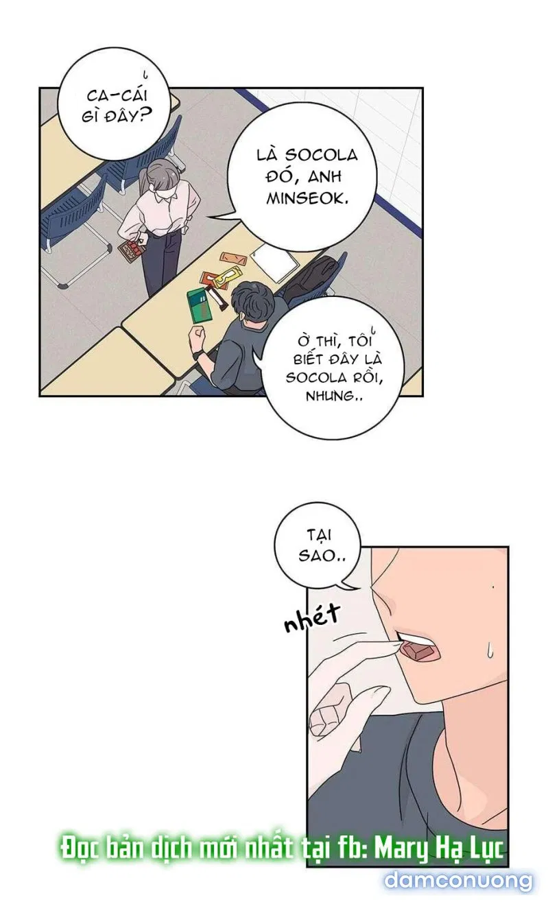 Toy Complex 