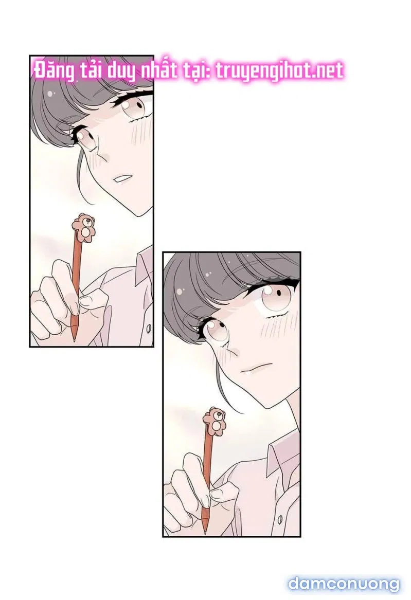 Toy Complex 