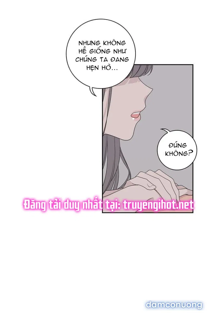 Toy Complex 