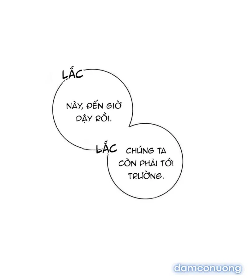 Toy Complex 