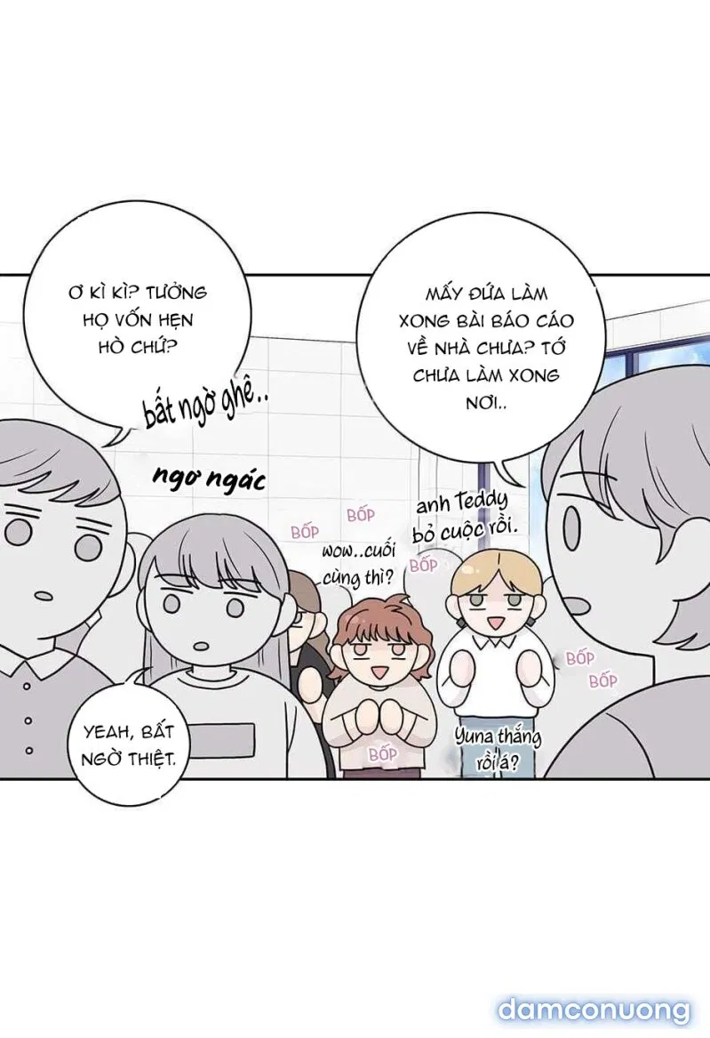 Toy Complex 